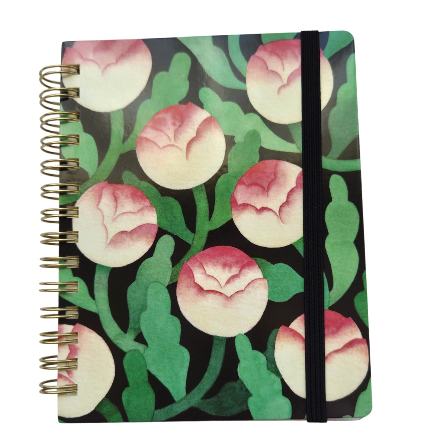 Agenda Hamanasu